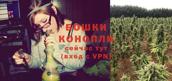 эйфоретик Белокуриха