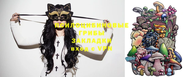 эйфоретик Белокуриха