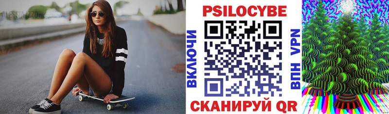 мориарти официальный сайт  Брюховецкая  Псилоцибиновые грибы Psilocybine cubensis 