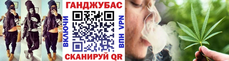 Конопля индика закладка Брюховецкая